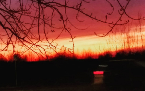 Фото дня в Сыктывкаре: ноябрьский закат