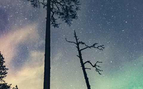 Фото дня от сыктывкарца: бескрайние просторы вселенной