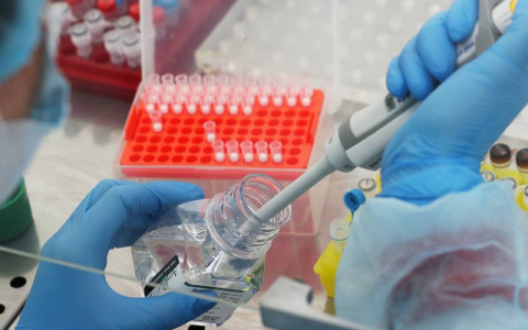 За сутки в Коми COVID-19 заразились еще две с половиной сотни человек