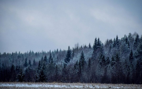 Фото дня в Сыктывкаре: восхитительные пейзажи позднего ноября
