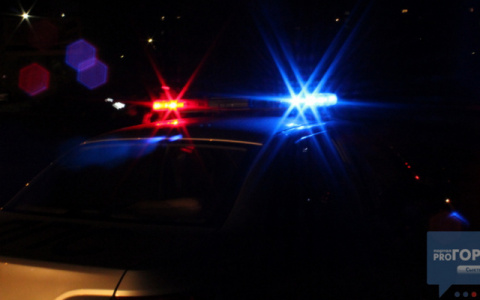 Сыктывкарка хотела стать директором ЧОПа с поддельным дипломом