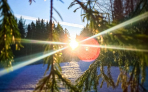 Фото дня в Сыктывкаре: удивительная красота заснеженных просторов
