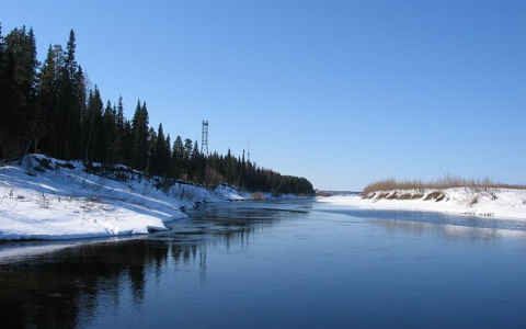 «Не знали, доживет ли»: пожилая женщина умирала в отрезанном от цивилизации коми поселке
