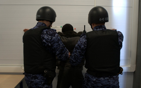 В Сыктывкаре сотрудники Росгвардии усмирили агрессивного гостя ресторана