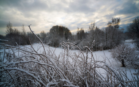 Погода в Сыктывкаре на 20 ноября: в город придет потепление