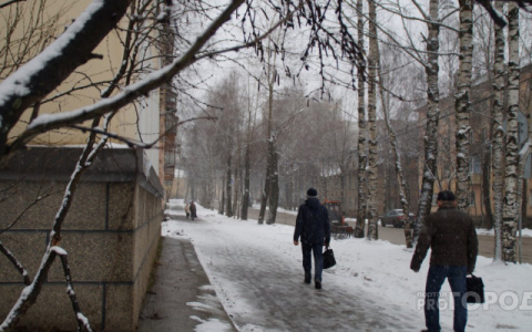 Погода в Сыктывкаре на 24 ноября: снегопады и северный ветер