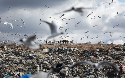 25 новых термодеструкторов в Коми: эколог рассказала, почему они приведут к катастрофе