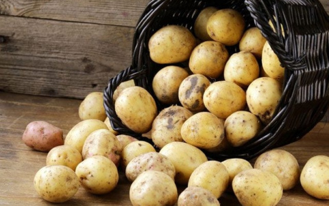 Названы самые опасные способы употребления картофеля