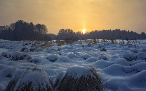 Фото дня в Сыктывкаре: первый зимний рассвет