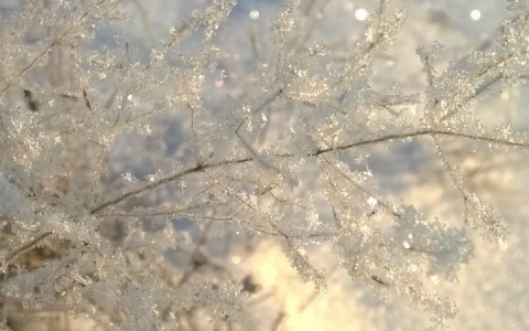 Фото дня в Сыктывкаре: сияющая красота декабрьских морозов