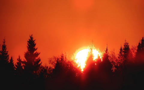 Фото дня от сыктывкарца: пламенный диск солнца тонет в море лесов