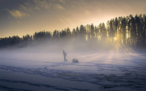 Фото дня в Сыктывкаре: загадочный зимний туман
