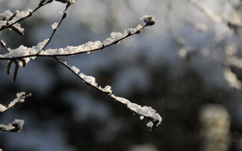 На выходных Коми накроют осадки