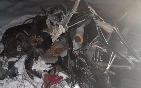 В Коми парень на «Волге» протаранил грузовик