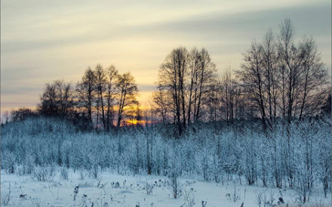 Синоптики пообещали жителям Коми морозные выходные