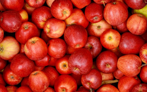 Эксперты заявили об опасности яблок для зубов