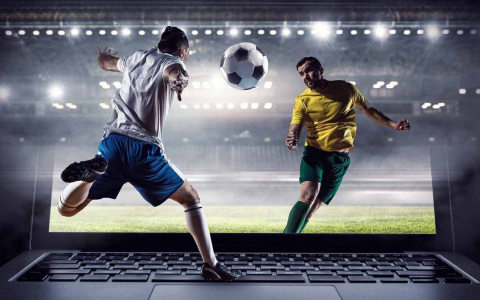 Регистрация в БК Pin up: как быстро произвести процедуру