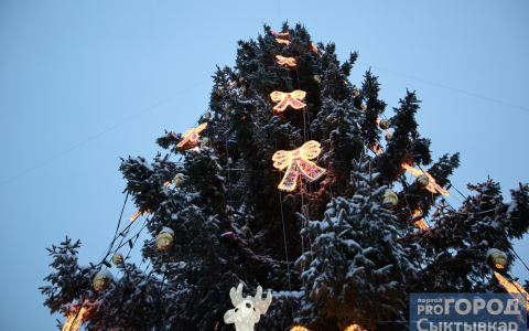 Дотянуться до небес: сыктывкарская новогодняя елка попала в топ 10 самых высоких в России