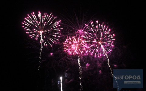 Сыктывкарцы выбрали лучшие события и главные новости 2020 года