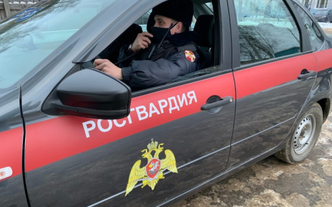 В Сыктывкаре караоке закончилось дракой и визитом Росгвардии