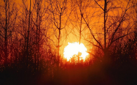 Фото дня в Сыктывкаре: пламя заката в ледяном небе