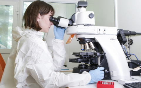 Жители Коми смогут записаться на вакцинацию от COVID-19 на Госуслугах