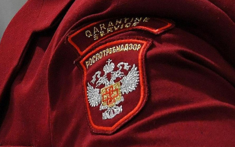 Россиянам рассказали о грядущем нашествии тараканов