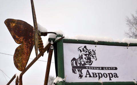 Сыктывкарский конный центр ищет волонтеров для разгребания завалов после пожара