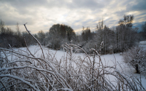 Погода в Сыктывкаре на 25 января: снег, дождь и «плюс» на термометре