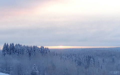 Фото дня в Сыктывкаре: царство зимнего сна