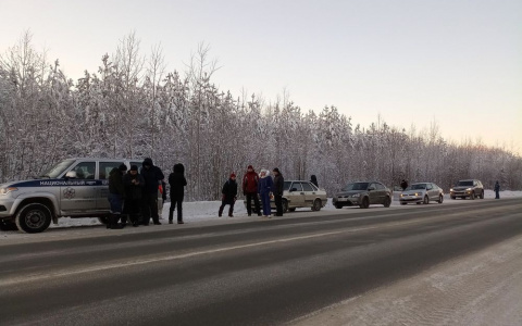 В Коми приостановили поиски пропавшей в лесу ухтинки