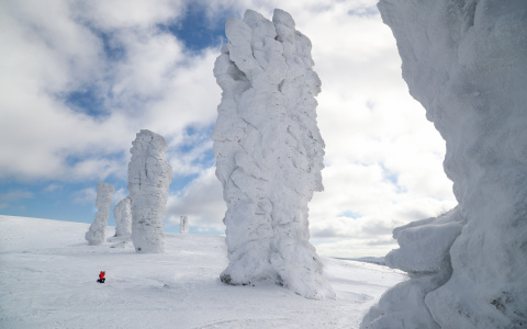 Коми вошла в топ-15 народного голосования проекта «Россия – страна возможностей»