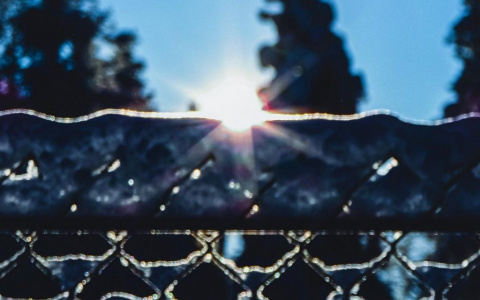 Фото дня в Сыктывкаре: луч солнца