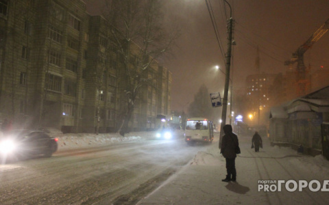 Погода в Сыктывкаре на 2 февраля: снегопады и порывистый ветер