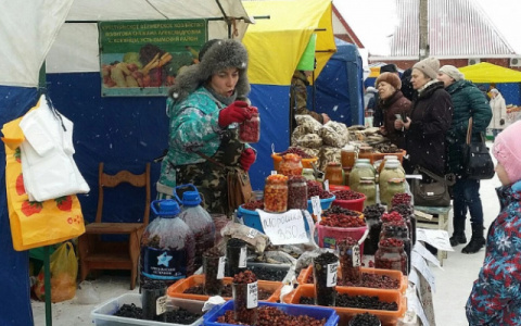 Ярмарку выходного дня в Сыктывкаре отменили из-за угрозы незаконных митингов