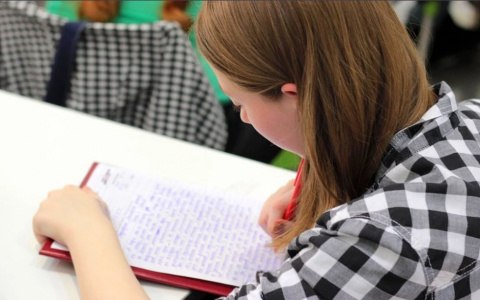 Американский профессор рассказал, что поможет выучить английский онлайн