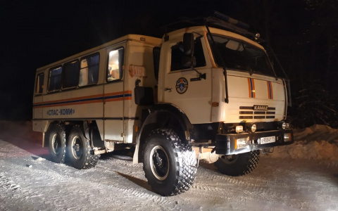 Из-за африканской чумы в Коми пойдут на убой почти 1000 свиней