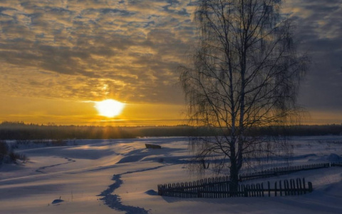 Фото дня от сыктывкарца: февральское утро