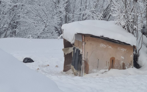 Мэрия Усинска снесет незаконную собачью будку
