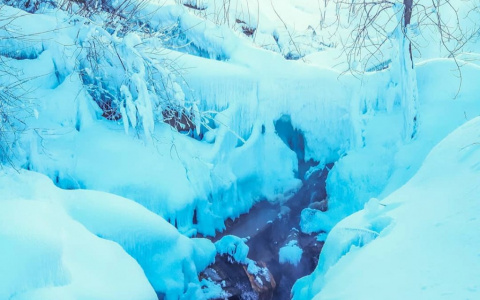 Фото дня в Сыктывкаре: первые дни весны