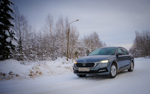 В дилерском центре «Квета-Авто» продолжаются дни новой ŠKODA  OCTAVIA, которые начались 13 февраля и закончатся 14 марта