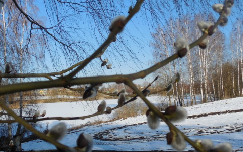 Погода в Сыктывкаре на 6 марта: снова морозы