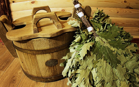 Сыктывкарцев попросили убрать незаконные бани