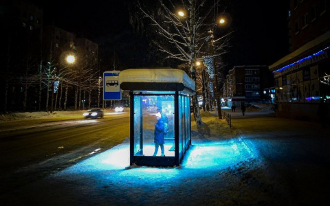 Фото дня в Сыктывкаре: в ожидании автобуса