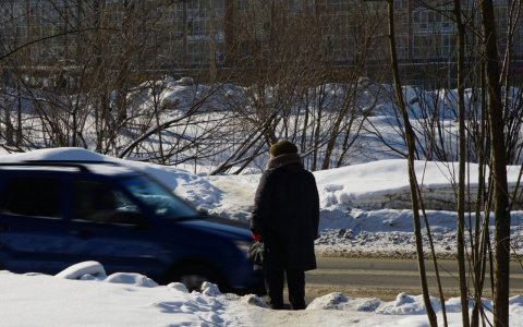 Идущие на смерть: почему сыктывкарцы плюют на опасность и перебегают дорогу в неположенных местах