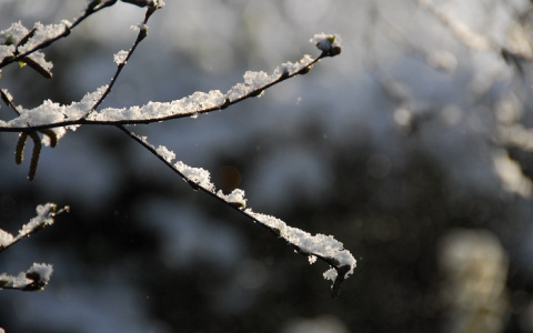 Погода в Сыктывкаре на 12 марта: пятница обещает быть теплой