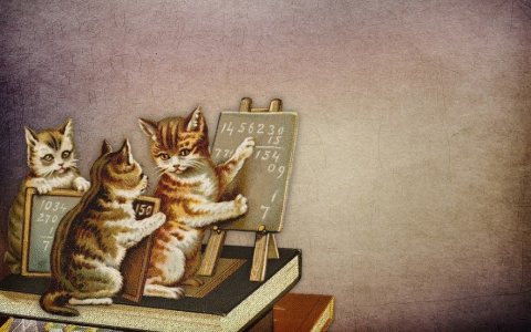 Тест для сыктывкарцев: 10 вопросов по геометрии, на которые ответит любой школьник