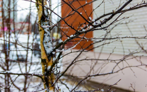 Погода в Сыктывкаре на 18 марта: на улице похолодает