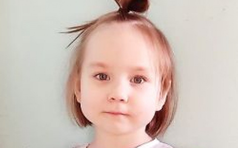 «У малышки есть шанс забыть о болезни»: сыктывкарцев просят спасти жизнь 3-летней девочки