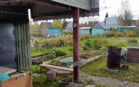 Топ 5 дач от 60 тысяч рублей, которые продаются в Сыктывкаре прямо сейчас